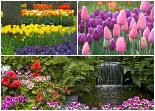 Room Ideas: The Best Spring Garden Decor Ideas