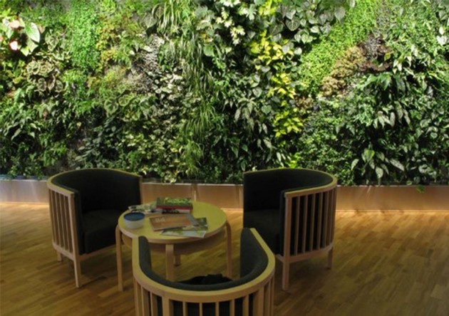 Garden Ideas: 20 Room Ideas for an Interior Garden