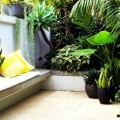 Luxury City Outdoor Gardens Ideas
