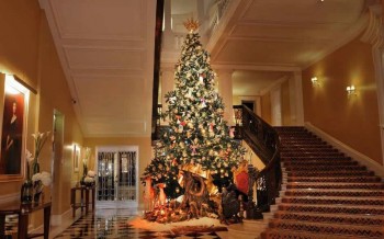 10 Celebrities' Christmas Trees Luxury Decorations
